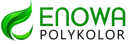 Enowa Logo 1